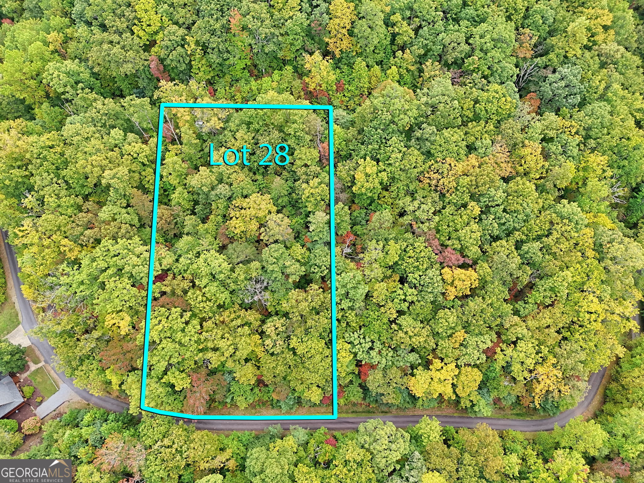 Lot 28 Skyview Drive Hayesville, NC 28904 - Photo 10 of 14 a view of a yard with plants