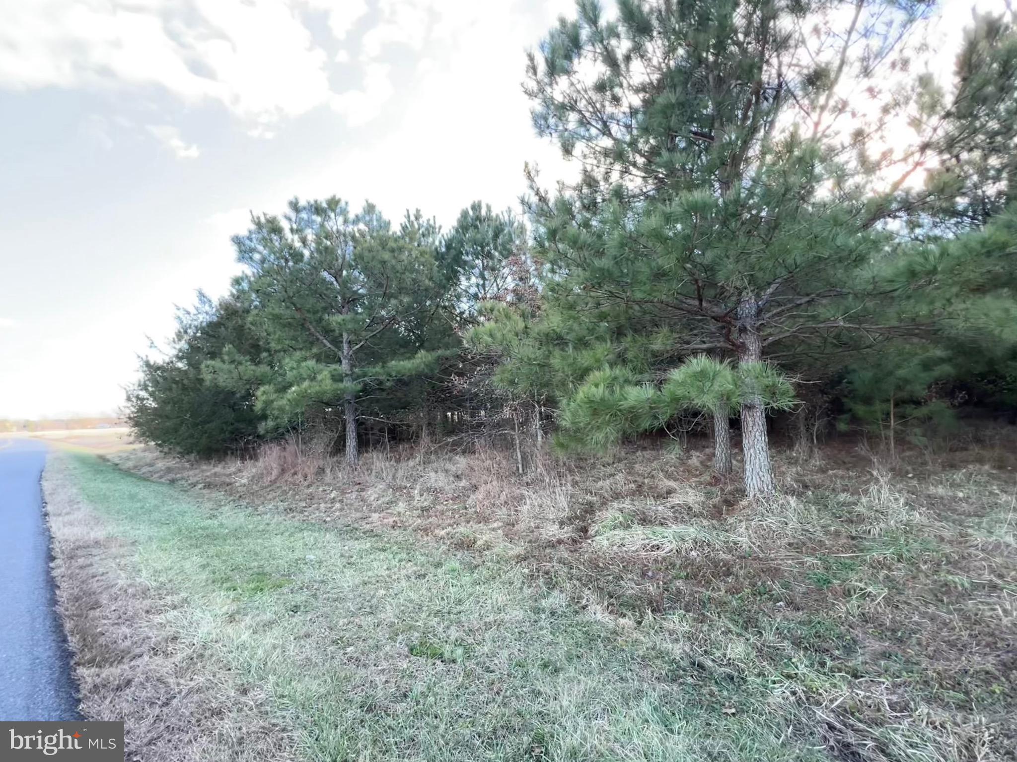 46 Perryhawkin Road Princess Anne, MD 21853 - Photo 14 of 18