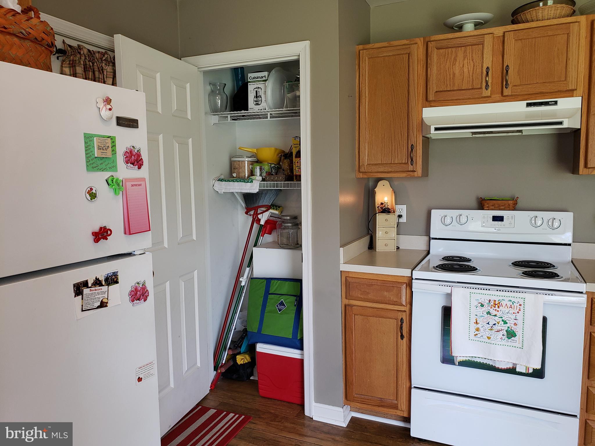 4 Oak Street Ridgely, MD 21660 - Photo 14 of 28 View of pantry in kitchen at side door.