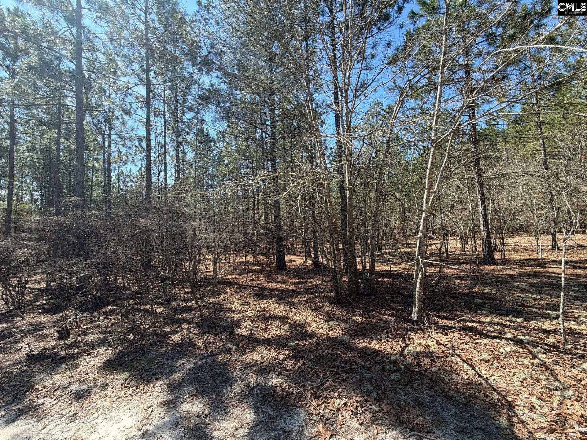 11 Boise Cascade Road, Unit BHL 11 Bethune, SC 29009 - Photo 18 of 24