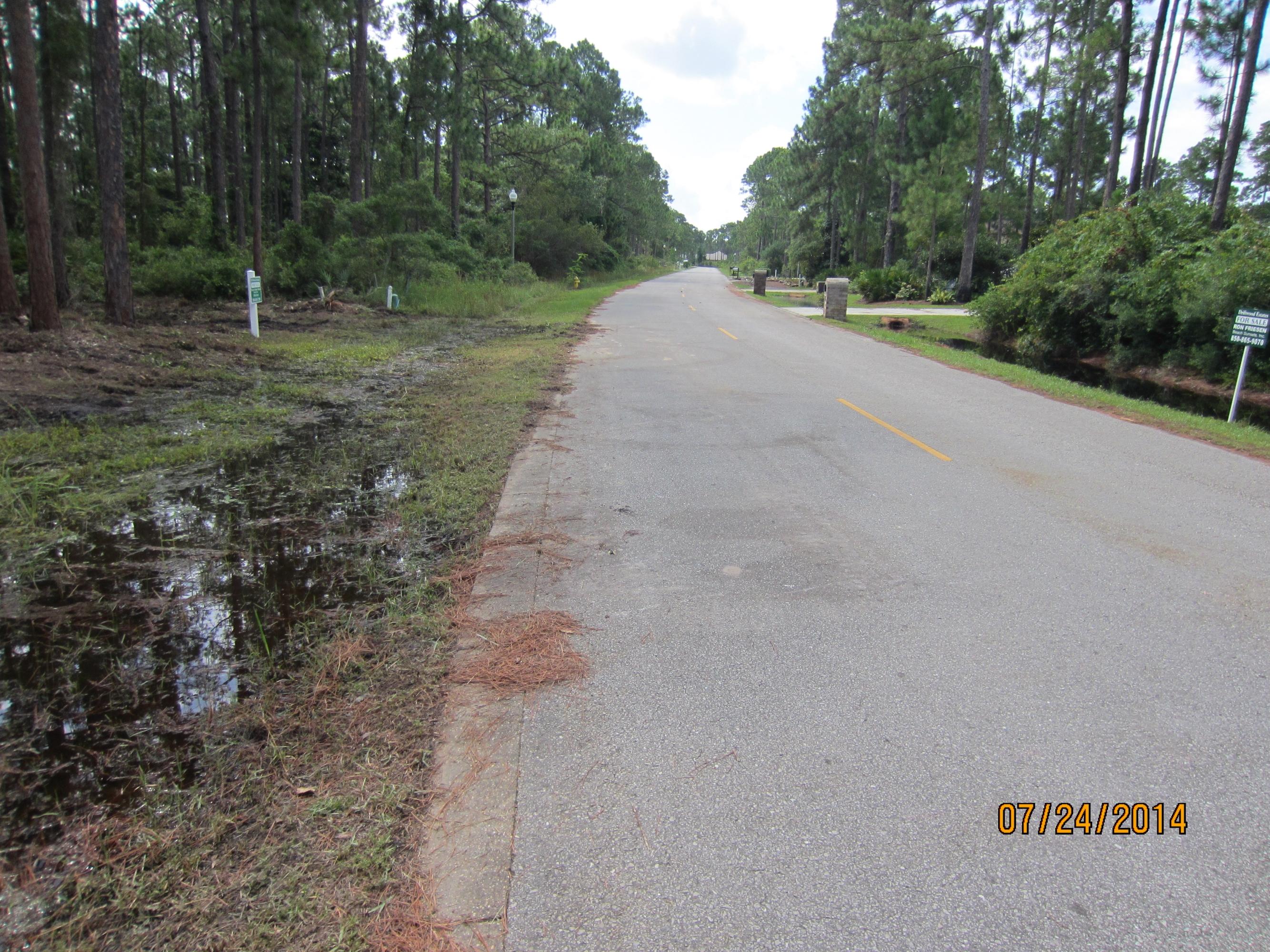 G34 Driftwood Point Road Santa Rosa Beach, FL 32459 - Photo 11 of 11 a view of a dry yard with trees in the background
