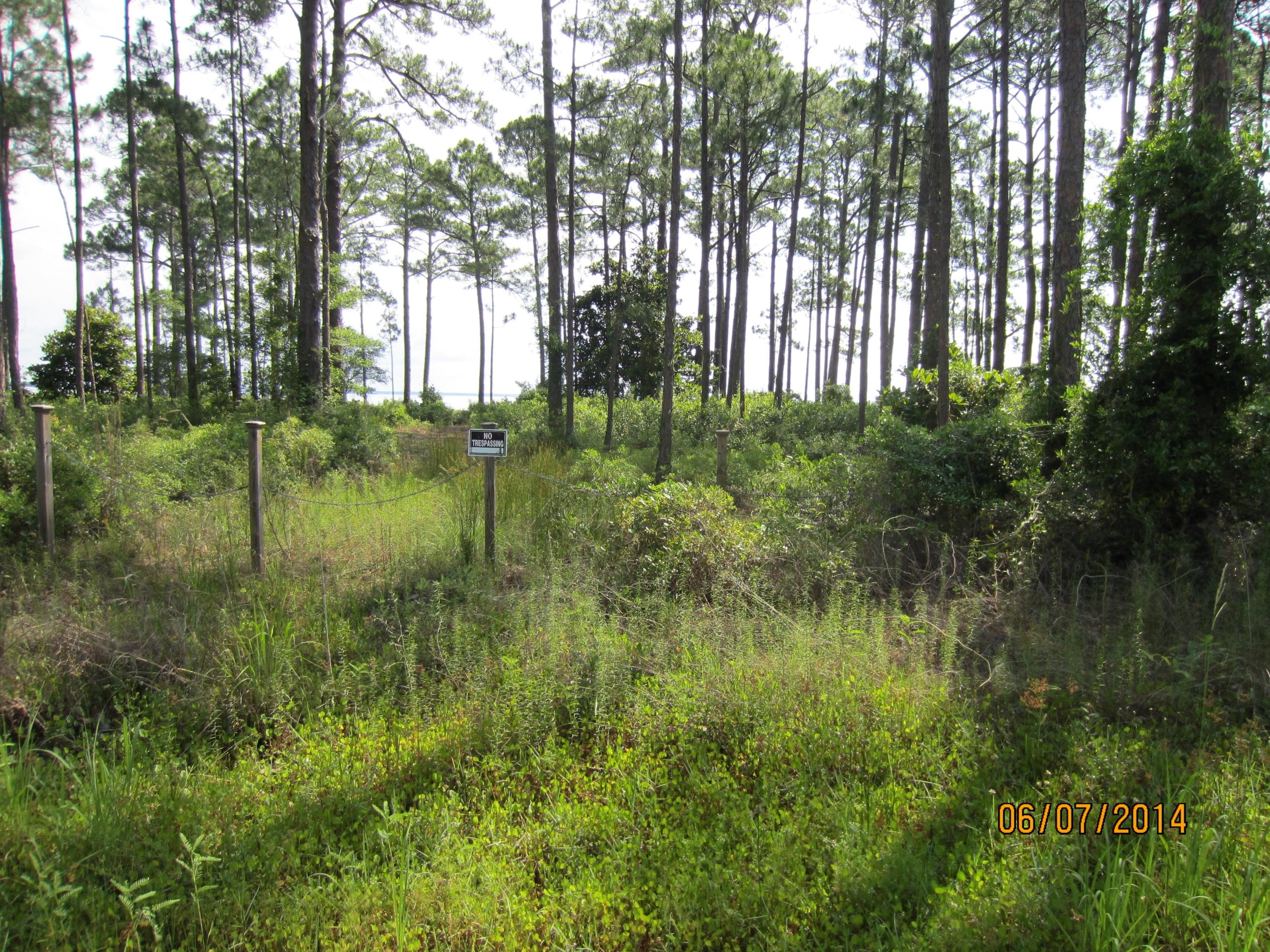 G34 Driftwood Point Road Santa Rosa Beach, FL 32459 - Photo 6 of 11 a view of a garden