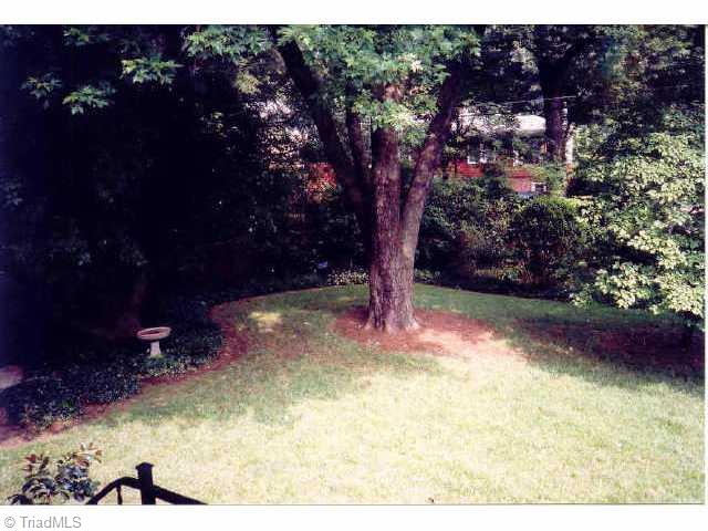 607 Shawnee Road Greensboro, NC 27403 - Photo 3 of 5 Other. Back yard