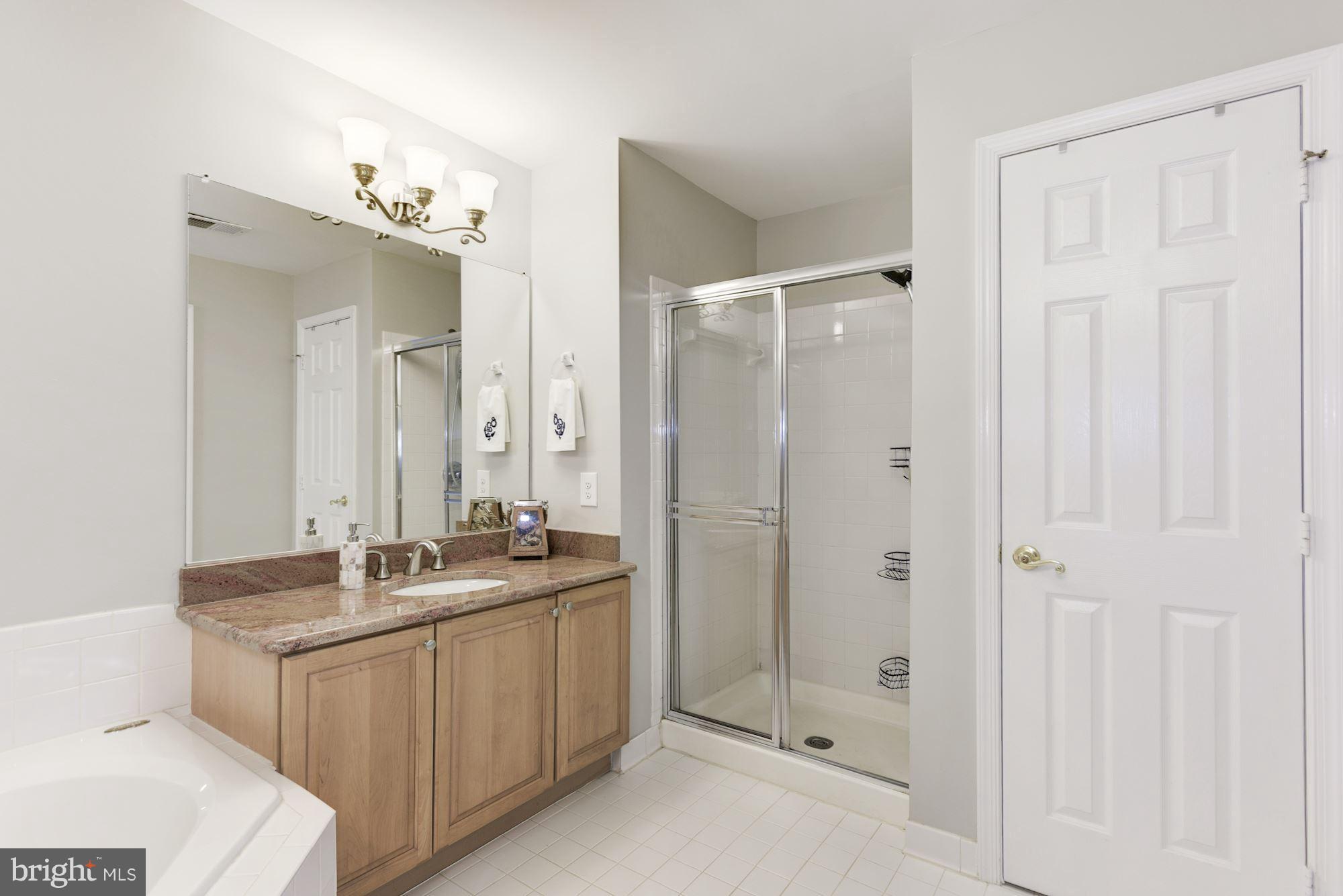 20709 Riptide Square Sterling, VA 20165 - Photo 19 of 30 a bathroom with a double vanity sink mirror and shower