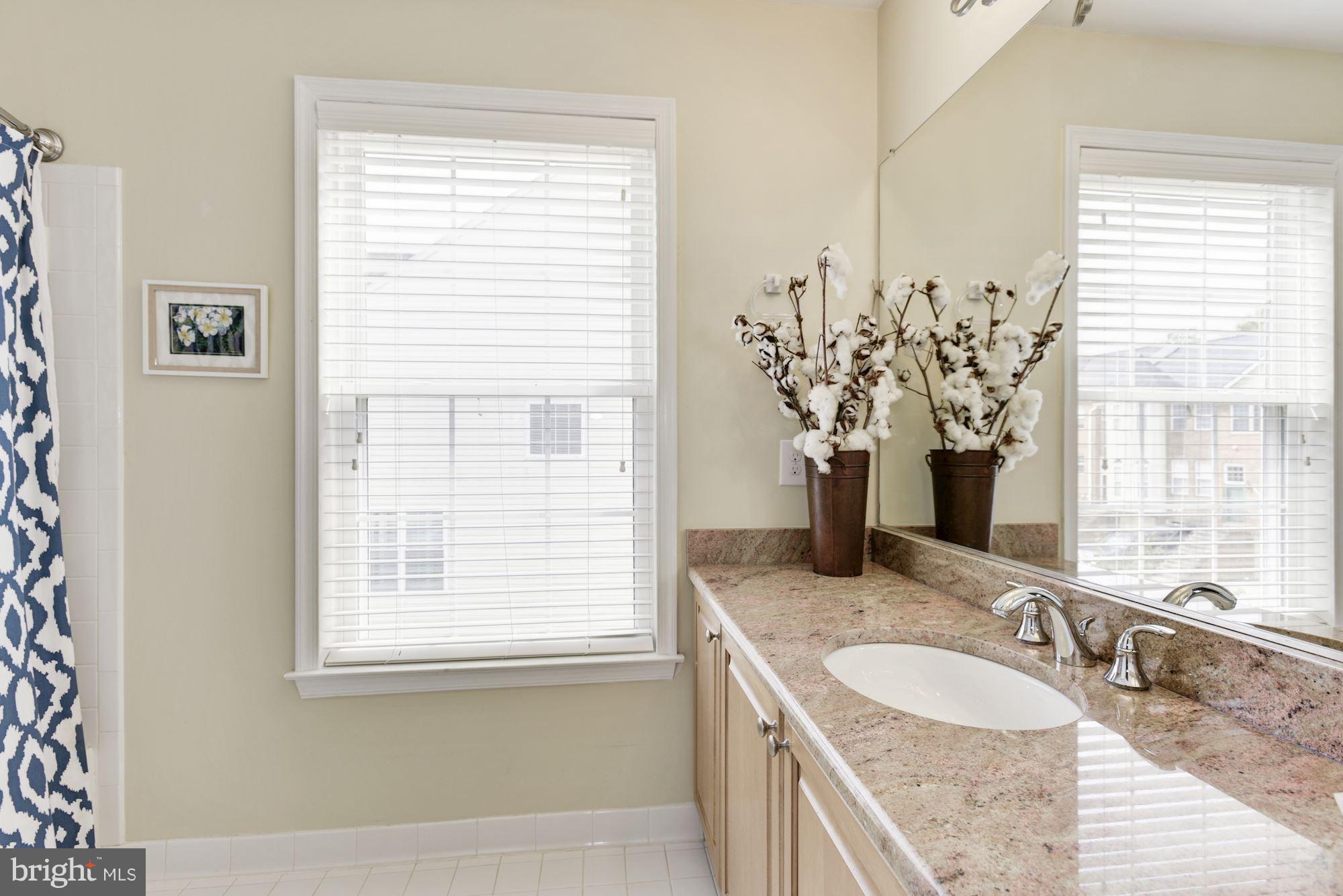 20709 Riptide Square Sterling, VA 20165 - Photo 24 of 30 a bathroom with a granite countertop sink and a window