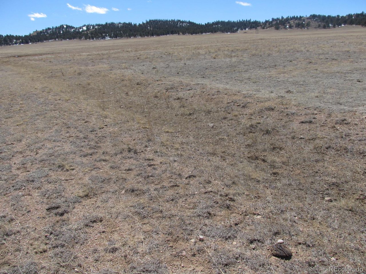 5210 To-Ma-Kin Circle Hartsel, CO 80449 - Photo 4 of 4 Gallery Image 4
