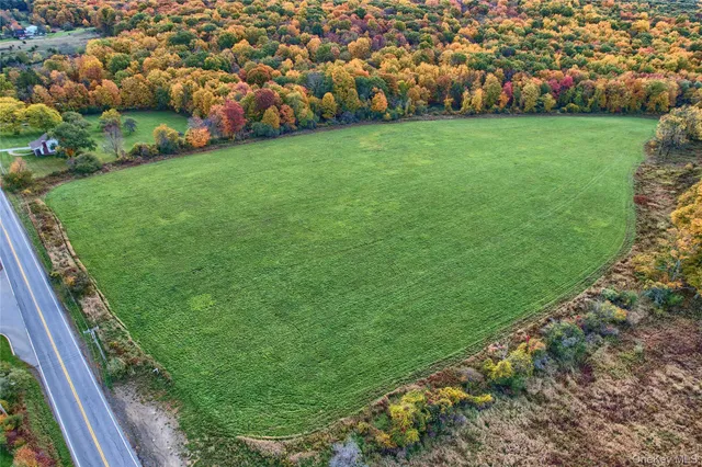a view of a field of grass and trees
