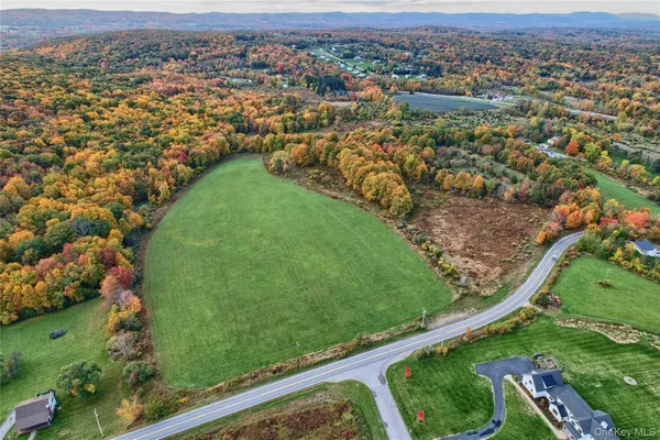 an aerial view of a residential houses with outdoor space and trees