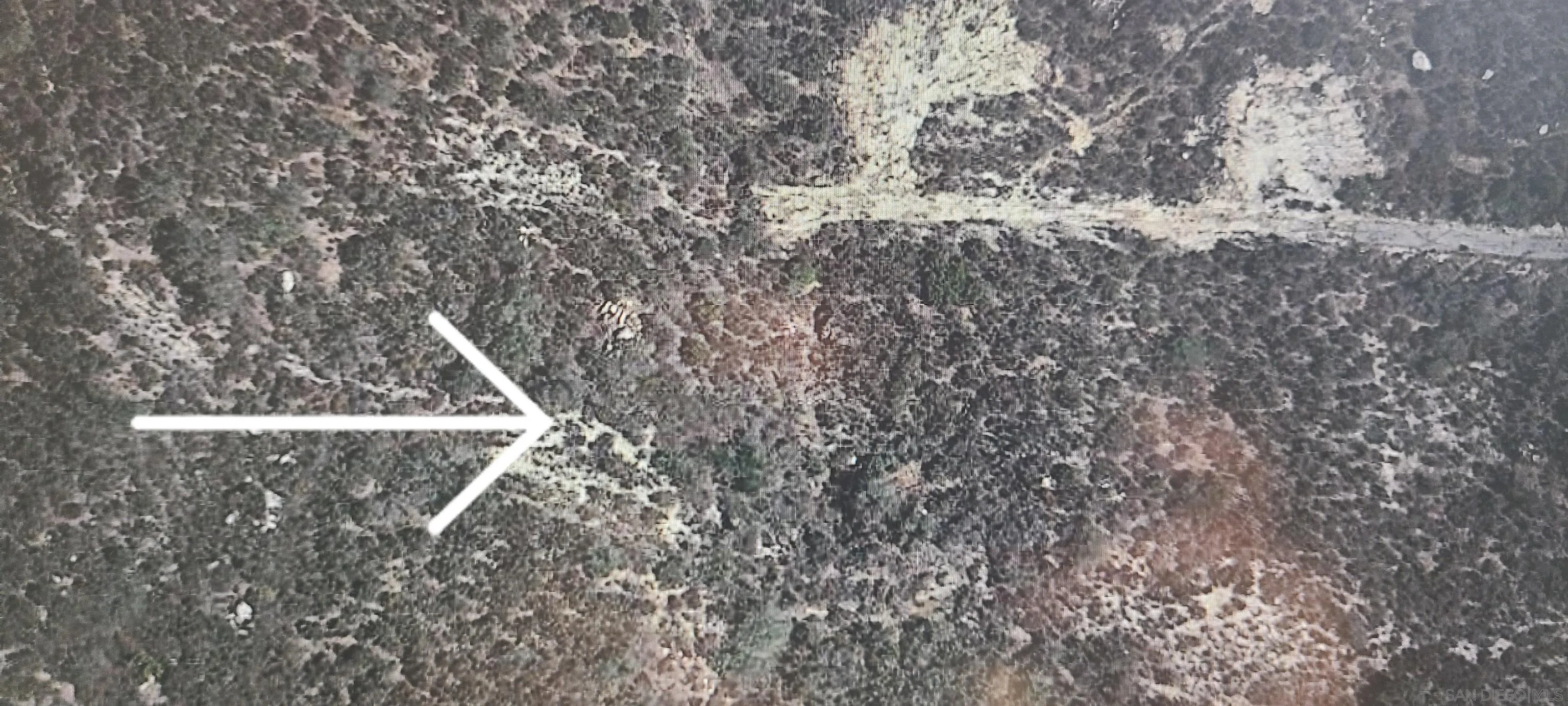 0 Willson Road El Cajon, CA 92019 - Photo 3 of 9 a view of a yard