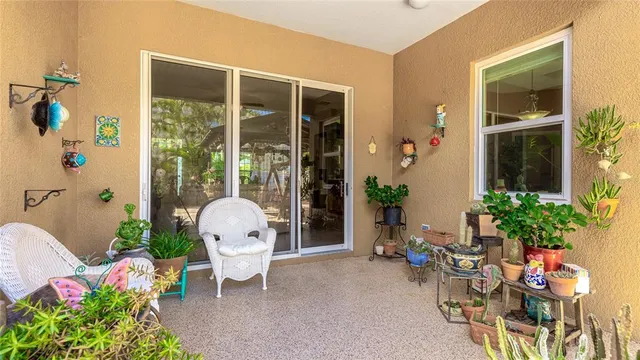 a view of a room with dining table and chairs potted plants