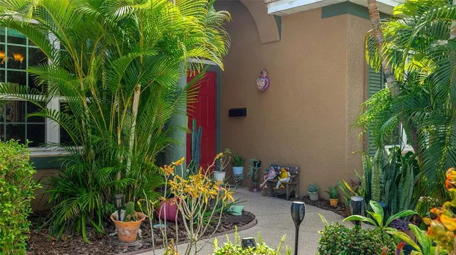 an outdoor space with plants