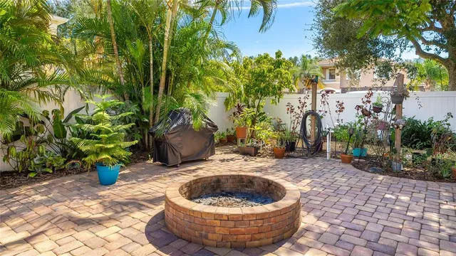 a view of a yard with plants and trees