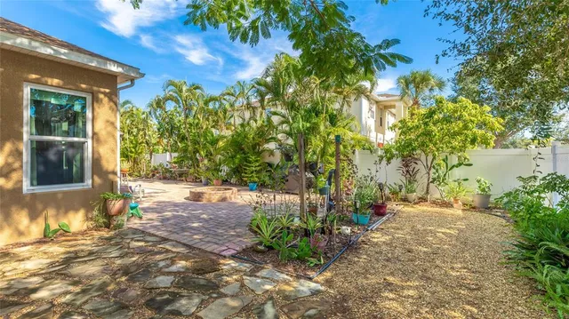 a view of a yard with plants and a large tree