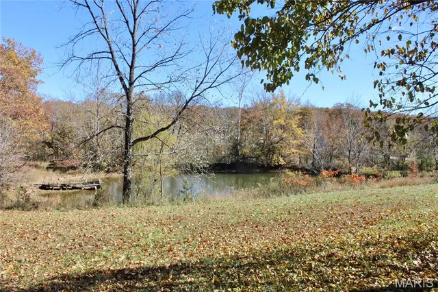 $300,000 | 18868 Chickadee Drive, Marble Hill, MO 63764