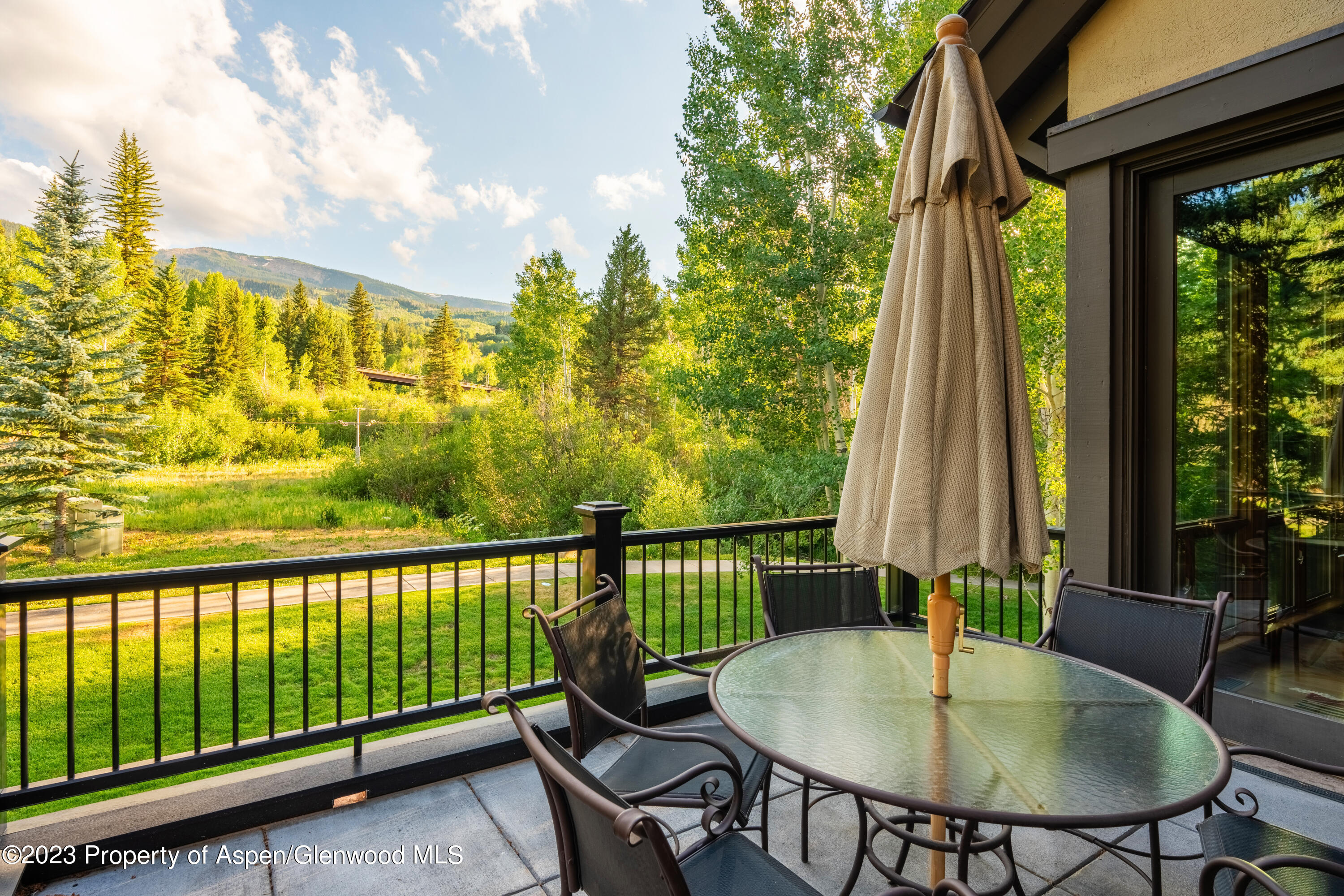 507 Streamside Court Snowmass Village, CO 81615 - Photo 7 of 30 Photo27