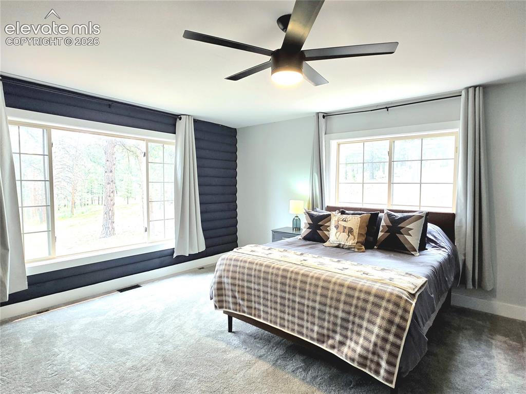 986 Apache Road Florissant, CO 80816 - Photo 18 of 50 secondary main level bedroom is spacious and has wonderful views to the front of the home