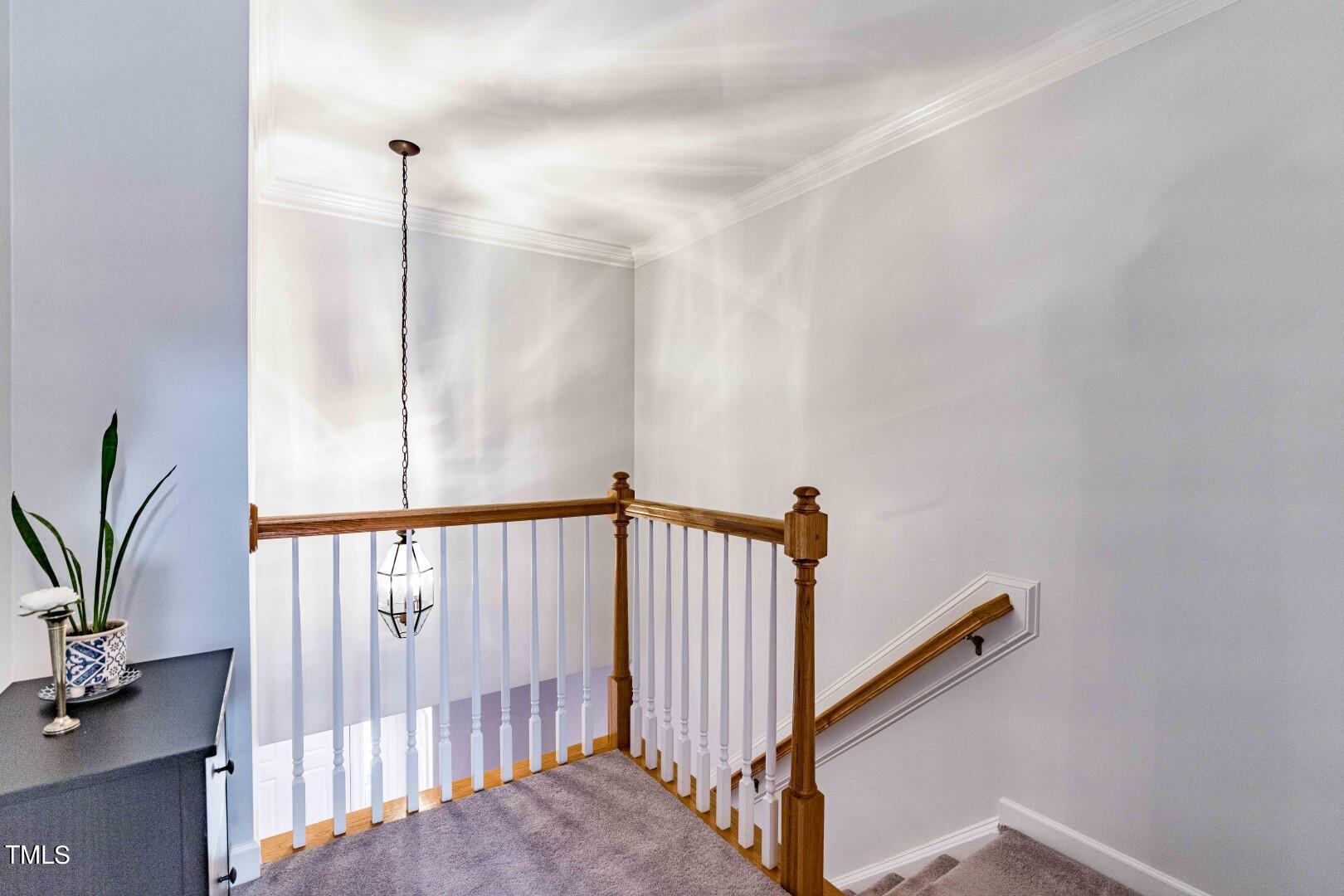 4553 Treerose Way Raleigh, NC 27606 - Photo 27 of 36 DSC01061 (Large)