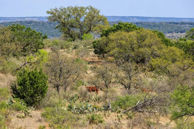 $3,570,200 | 4632 Onion Creek Road, Doss, TX 78618