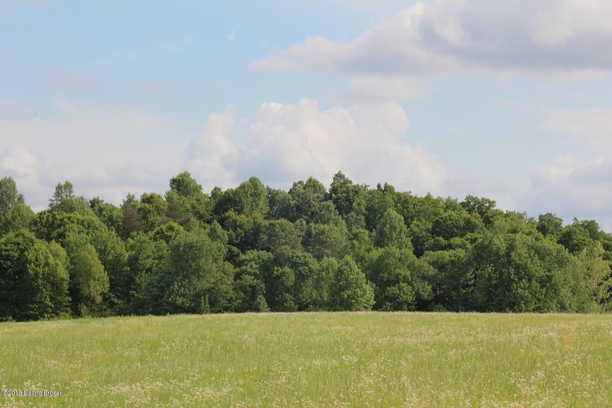 1000 Ready Jackson Road Caneyville, KY 42721 - Photo 29 of 31 Mudd Farms27