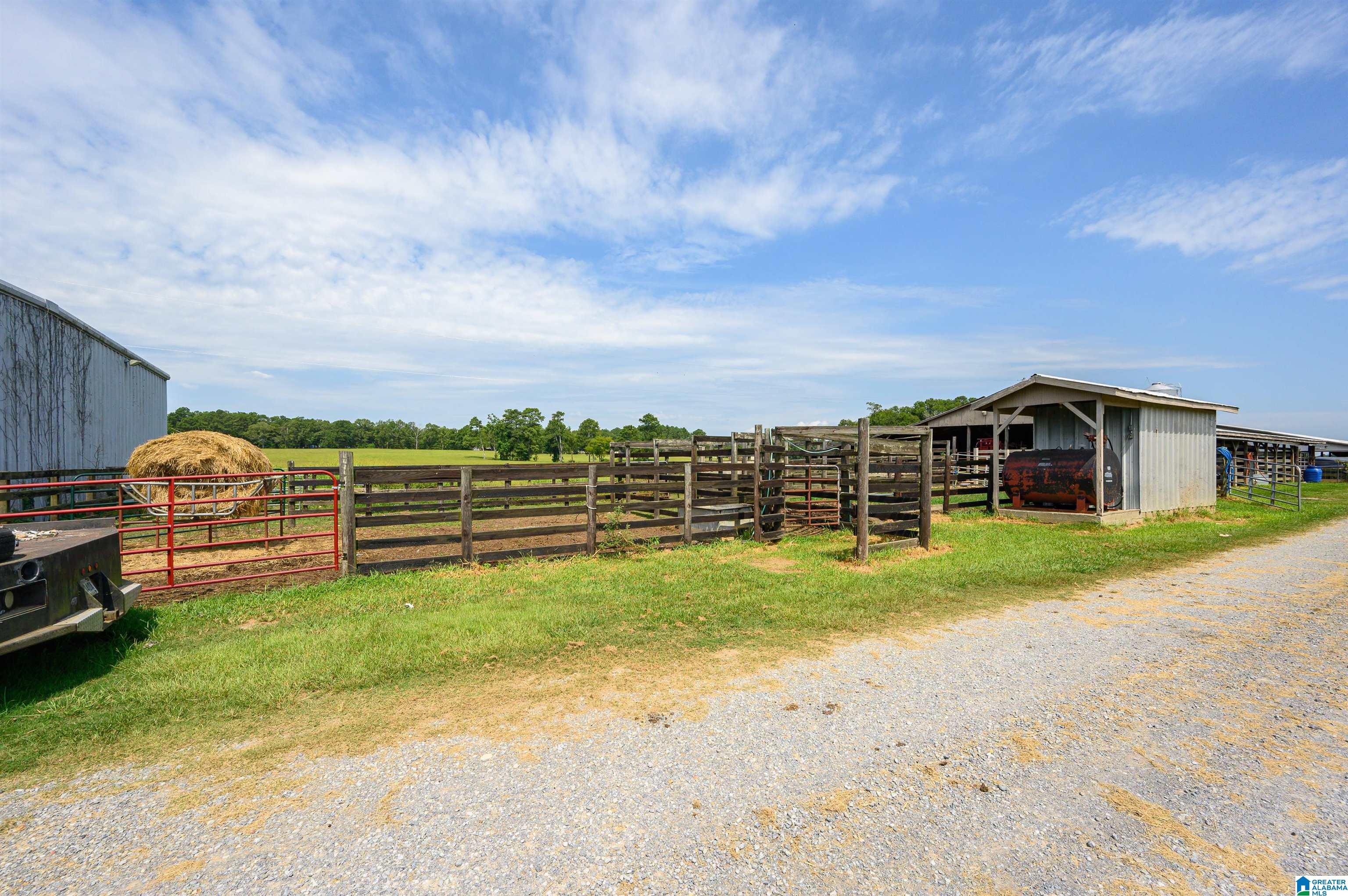 1498 Sun Valley Road Harpersville, AL 35078 - Photo 12 of 35