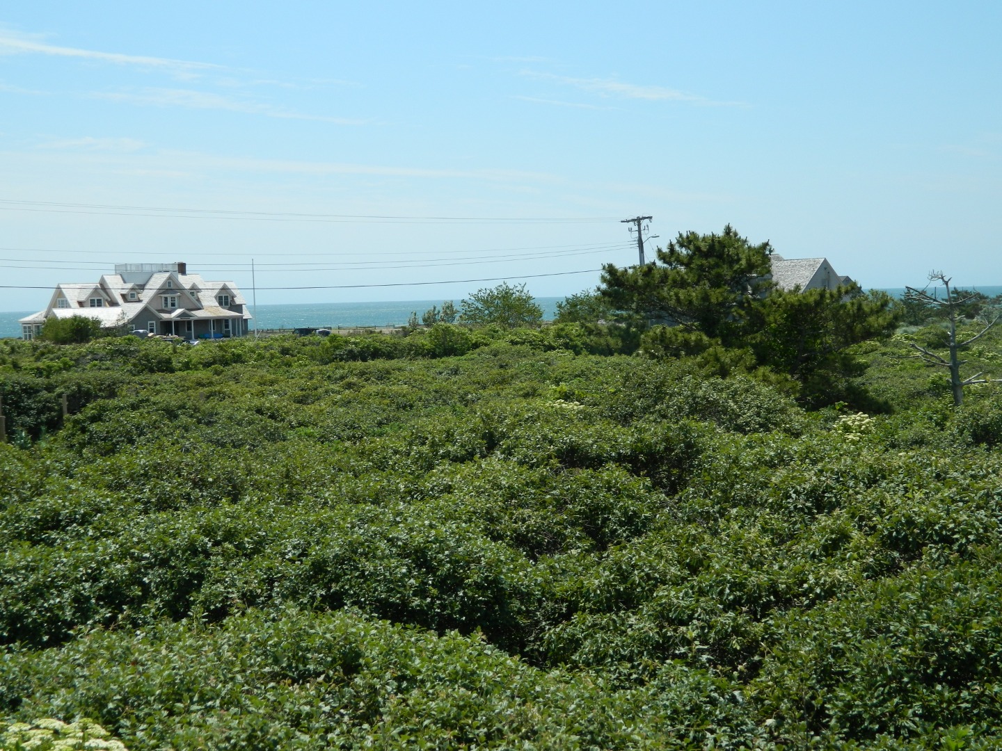 Southerly View