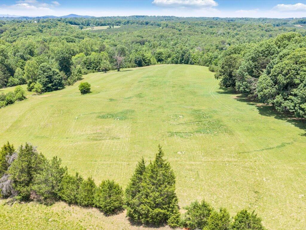 247 Powell Road Ridgeway, VA 24148 - Photo 82 of 90 82-DJI_20260531131244_0018_D