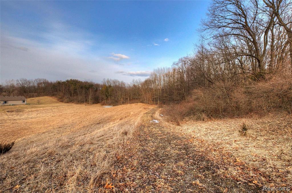 6701 Hashley Road Manchester, MI 48158 - Photo 10 of 21