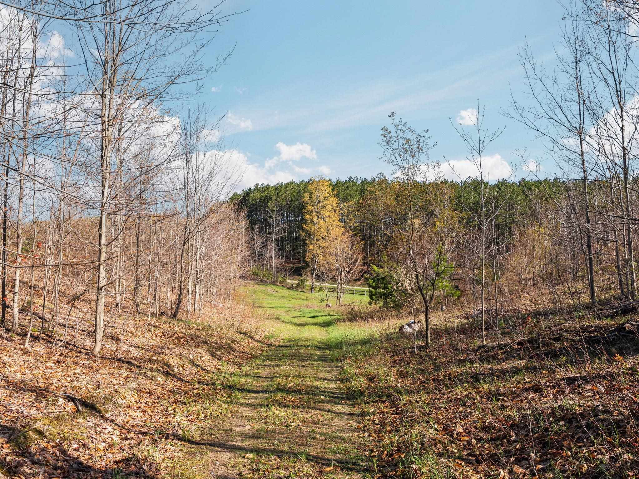 0 East 20th Road, Unit NEAREST ADDRESS ACROSS T Mesick, MI 49668 - Photo 5 of 27