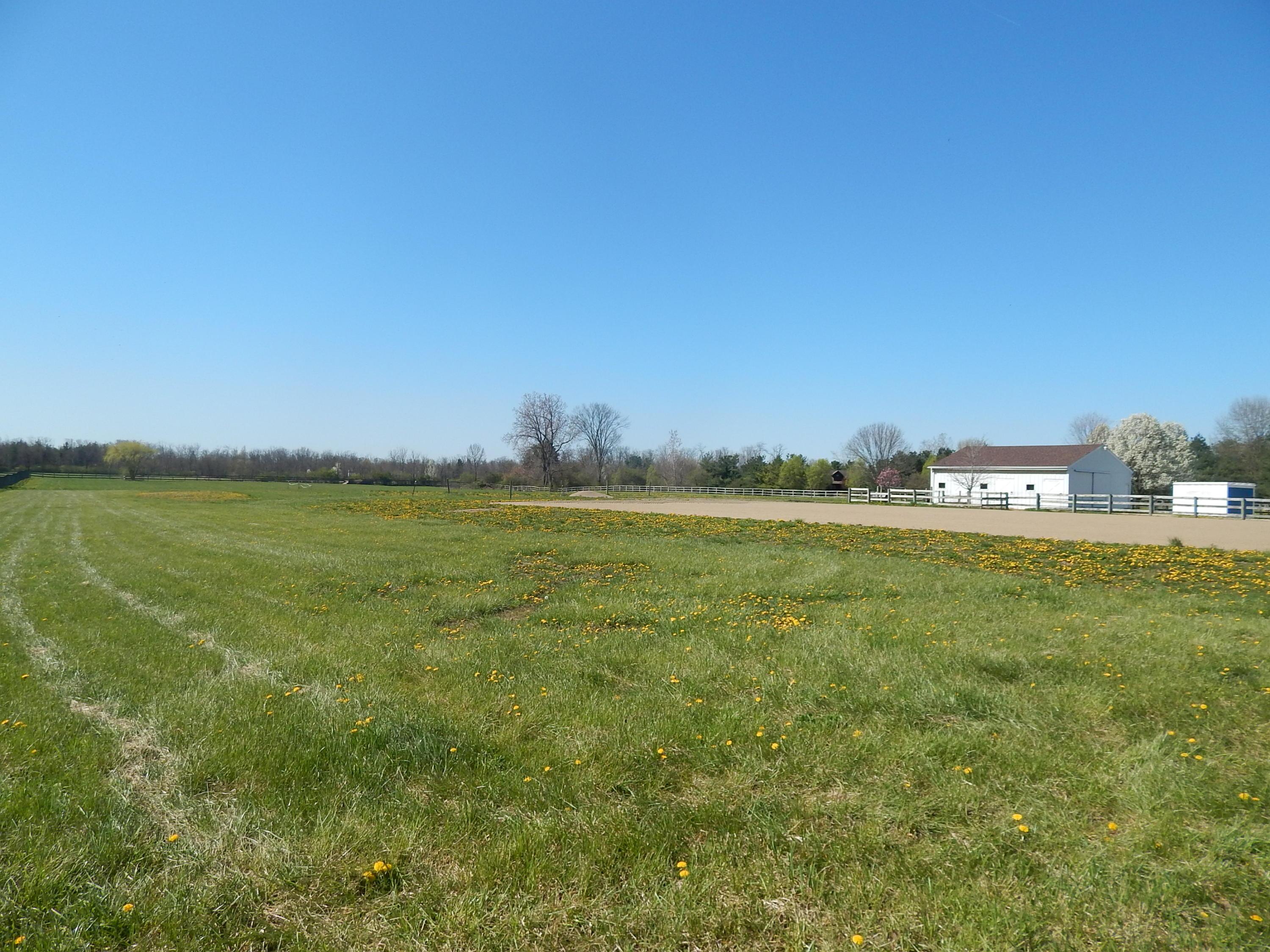 6815 Duffy Road Delaware, OH 43015 - Photo 42 of 42 Gallery Image 42