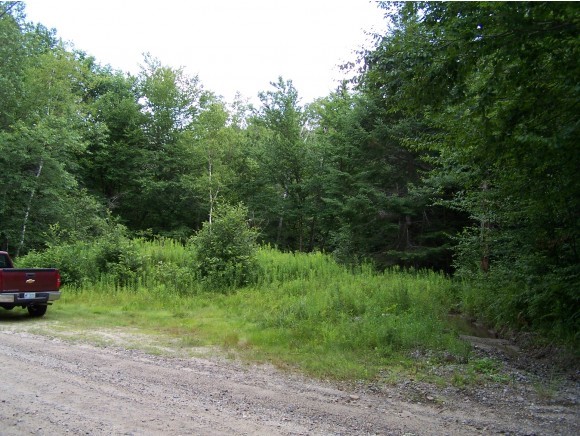 0 Old Stoddard Road Nelson, NH 03457 - Photo 1 of 1