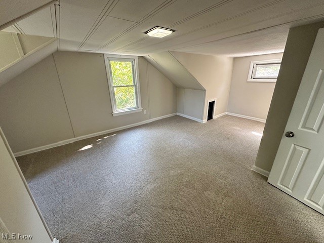 26203 Tryon Road Bedford, OH 44146 - Photo 13 of 18 Additional living space featuring lofted ceiling and light colored carpet