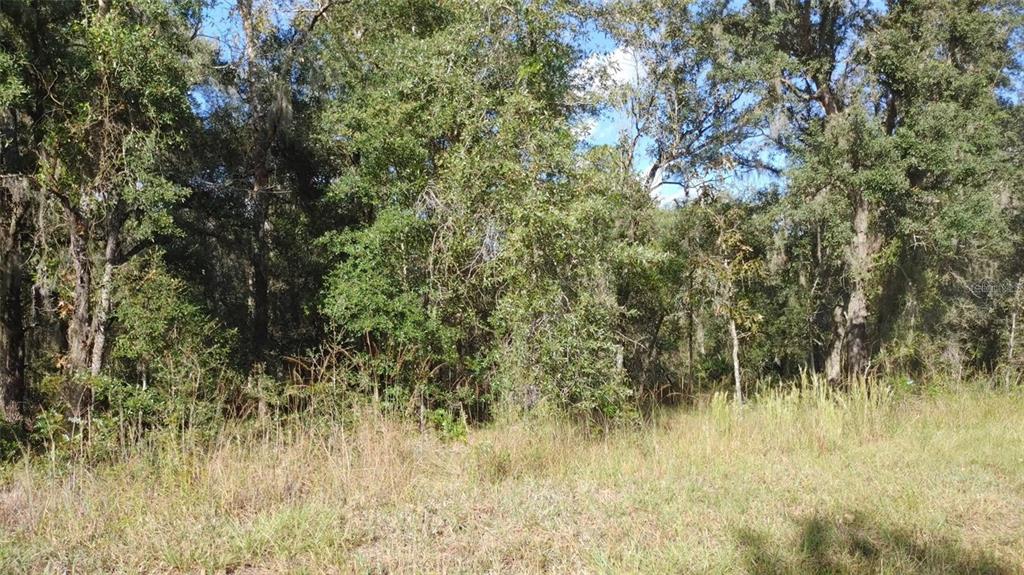 3 Southwest 29th Terrace Road Ocala, FL 34471 - Photo 1 of 1
