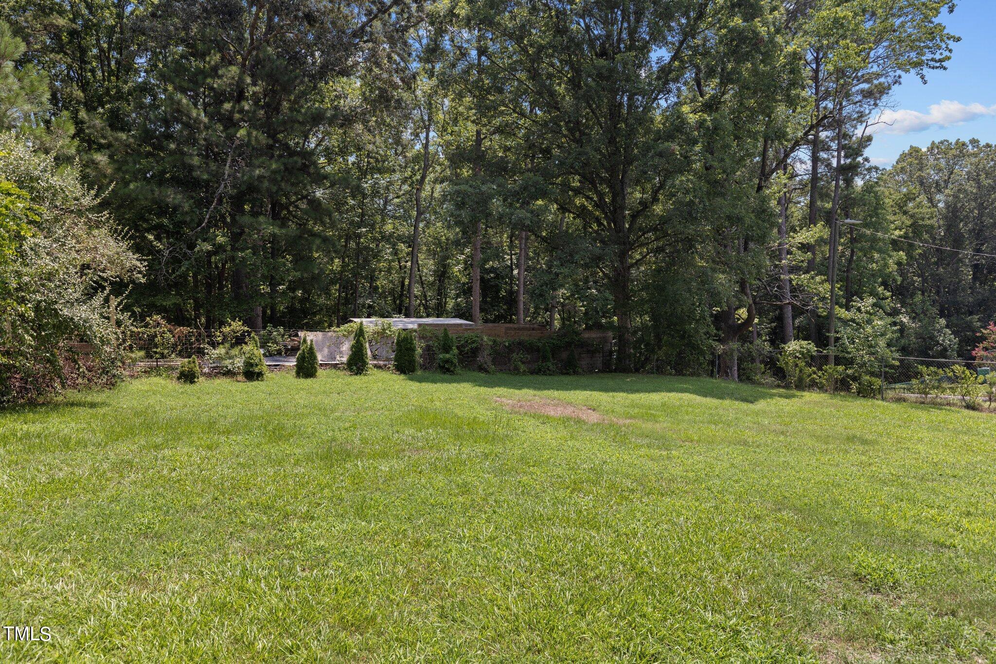 1738 Fletchers Chapel Road Durham, NC 27703 - Photo 45 of 60 44-web-or-mls-8Y3A0675