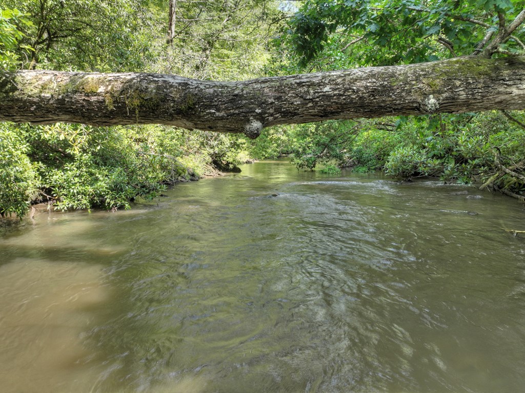 2691 Highway 2 Blue Ridge, GA 30513 - Photo 60 of 65 Gallery Image 60