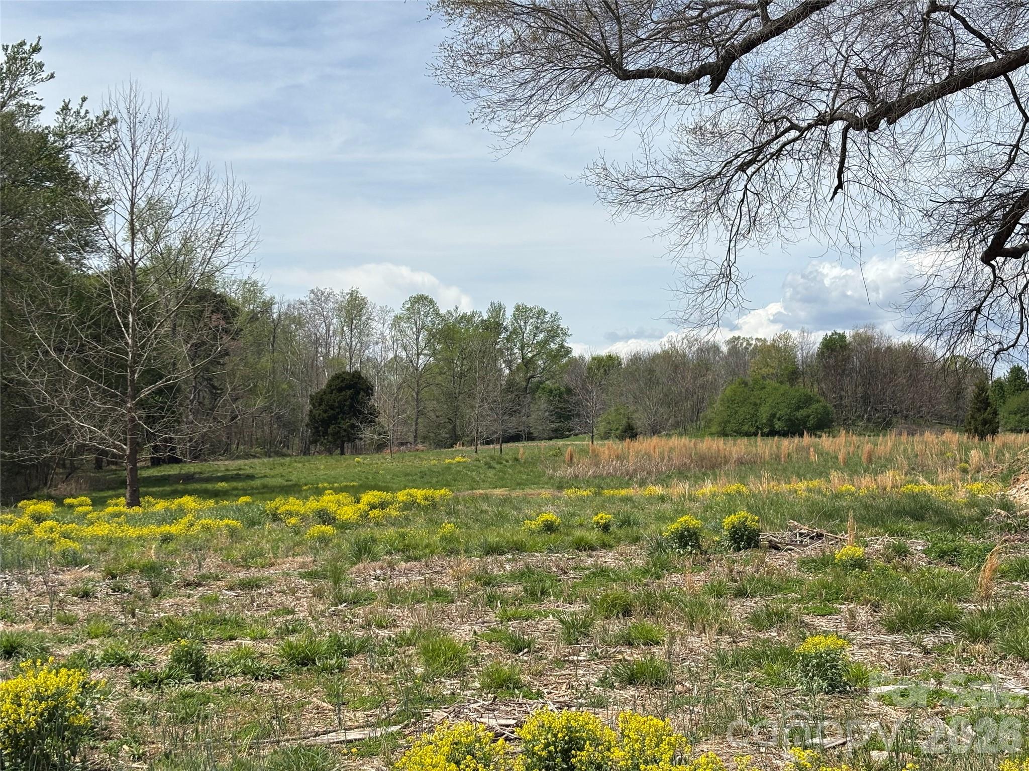 Lot #4 Prince Road Columbus, NC 28722 - Photo 20 of 21 Gallery Image 20