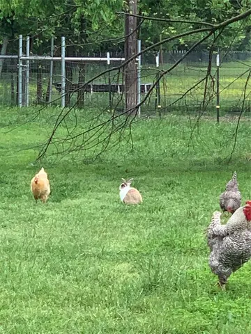 a bedroom with furniture and a bedroom