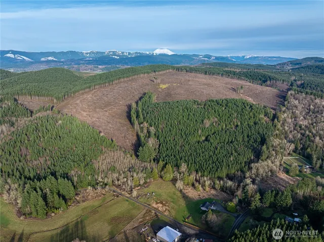 a view of a lake with a city