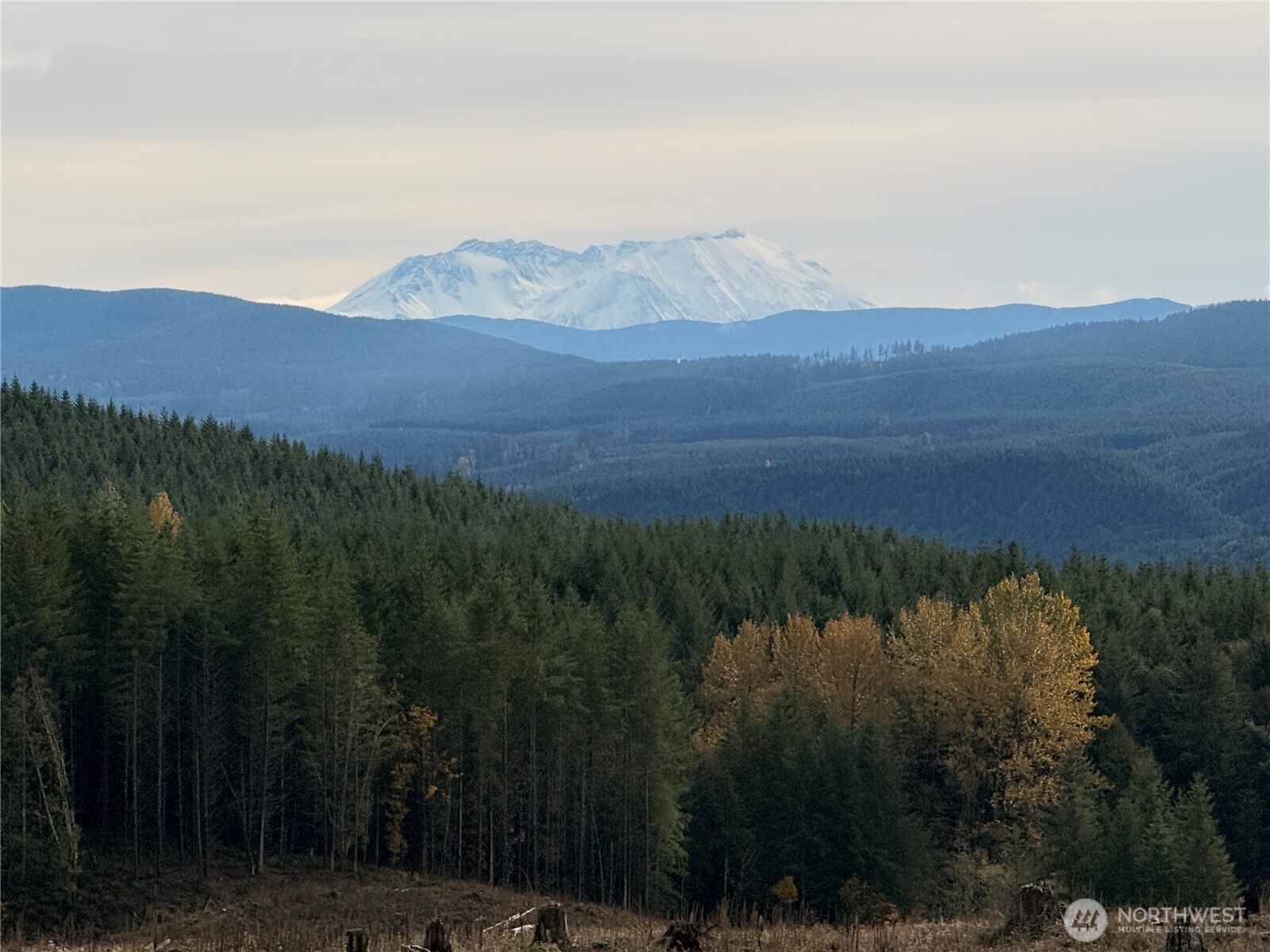 50 X Winston Creek Road Mossyrock, WA 98564 - Photo 11 of 21 a view of lake and mountain