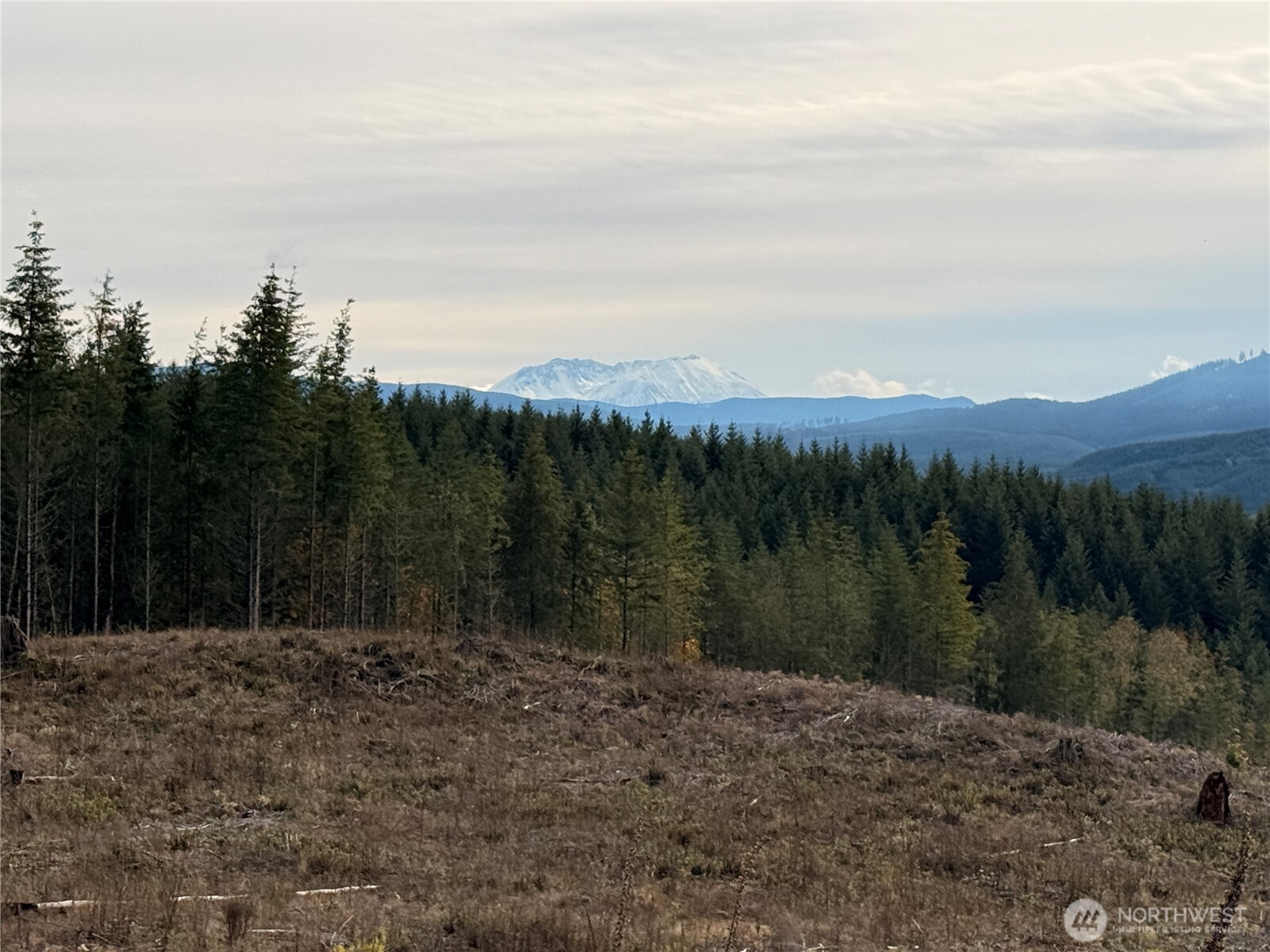 50 X Winston Creek Road Mossyrock, WA 98564 - Photo 12 of 21 a view of lake with mountain