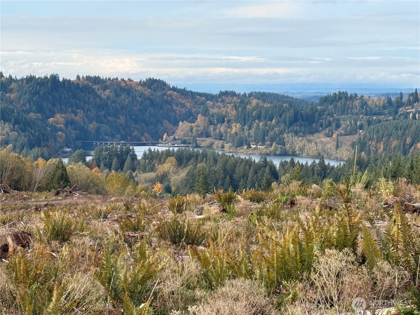 50 X Winston Creek Road Mossyrock, WA 98564 - Photo 13 of 21 a view of a lake from a yard