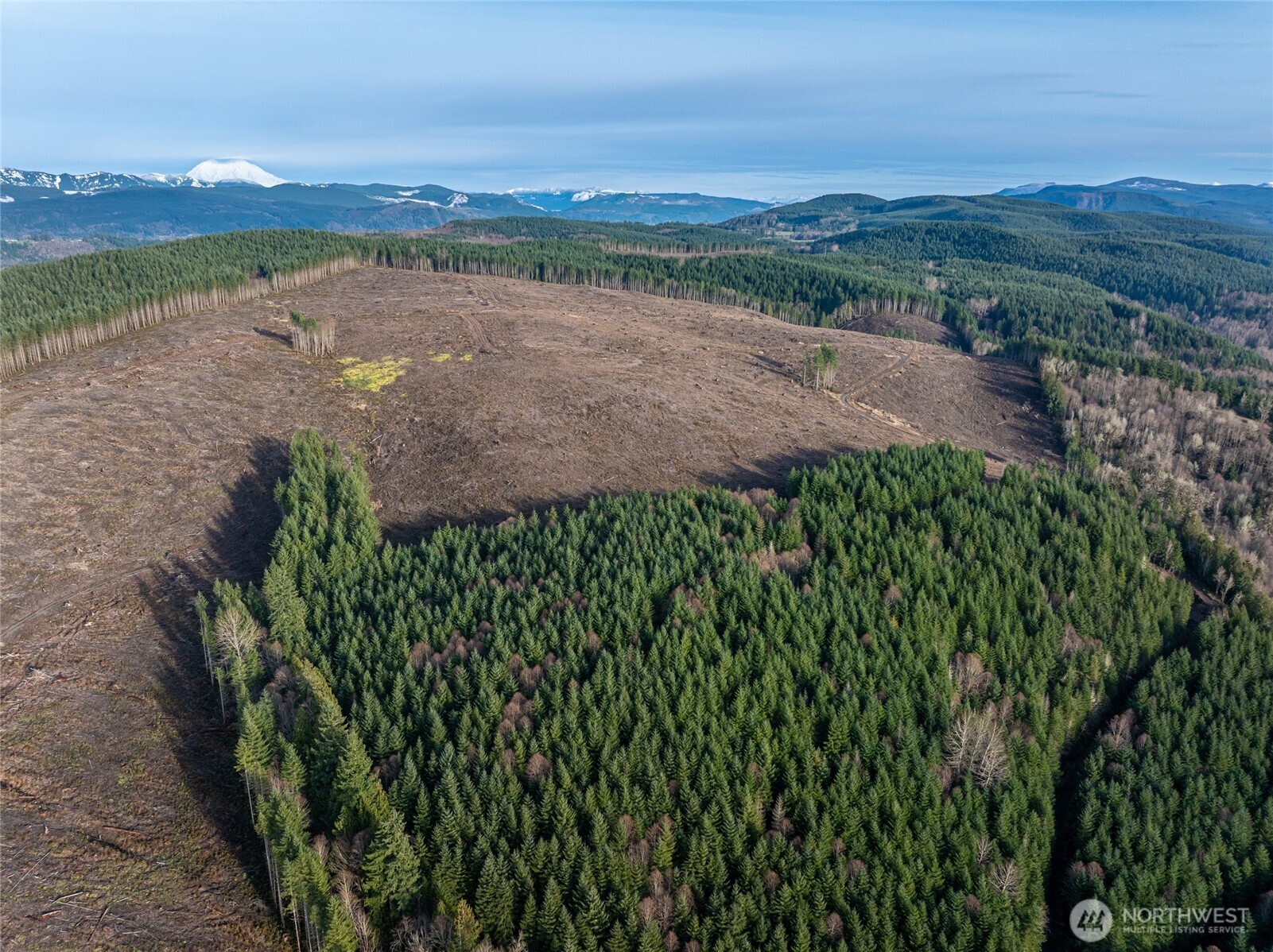 50 X Winston Creek Road Mossyrock, WA 98564 - Photo 14 of 21 a view of a lake with a city