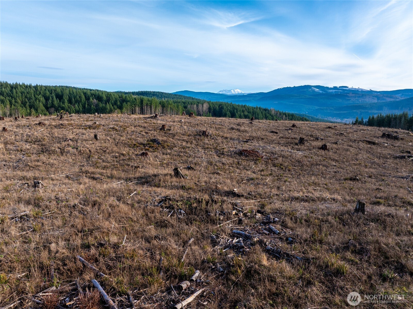 50 X Winston Creek Road Mossyrock, WA 98564 - Photo 16 of 21 a view of mountain with lake view