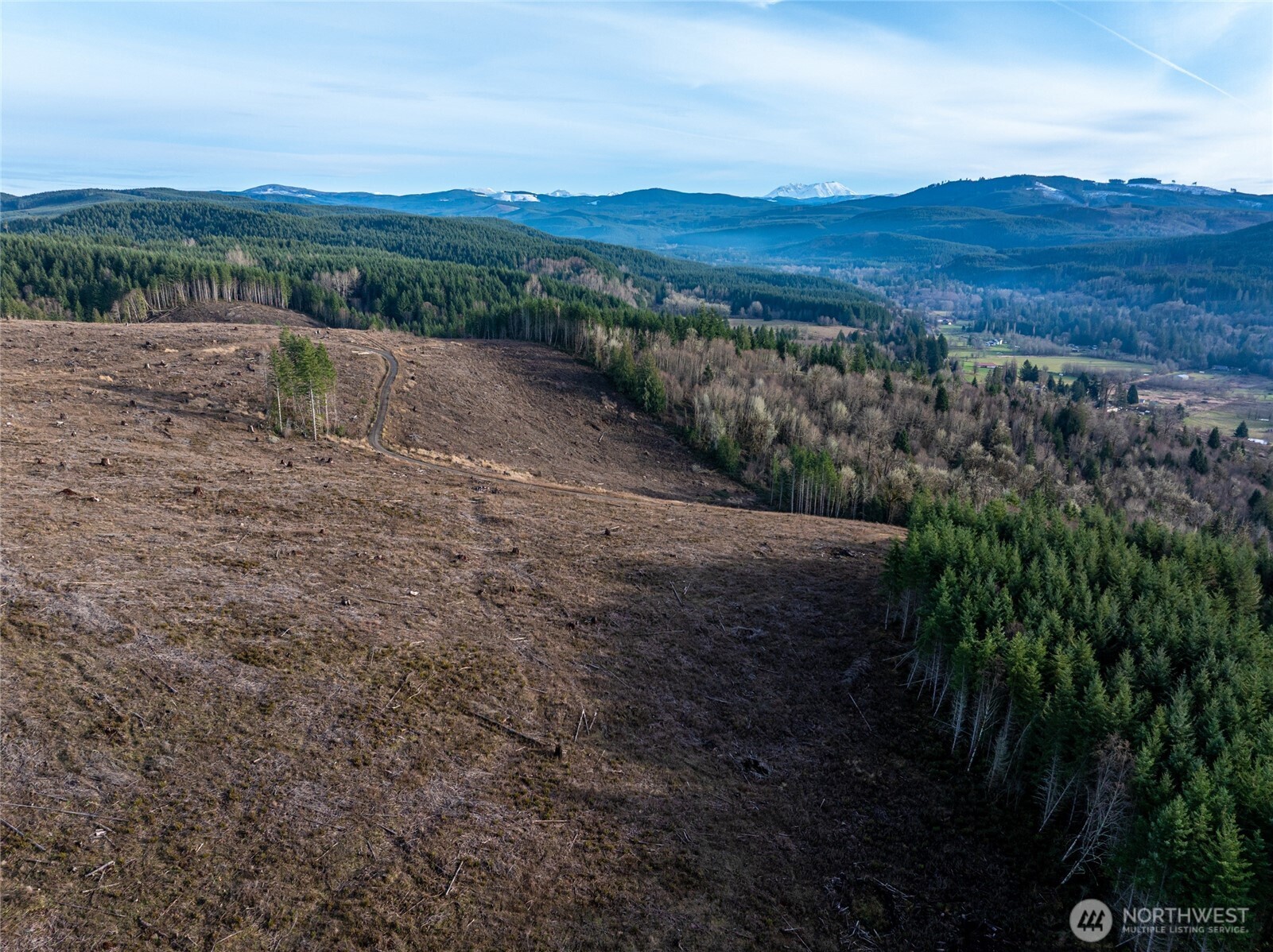 50 X Winston Creek Road Mossyrock, WA 98564 - Photo 19 of 21 a view of an outdoor space with mountain view
