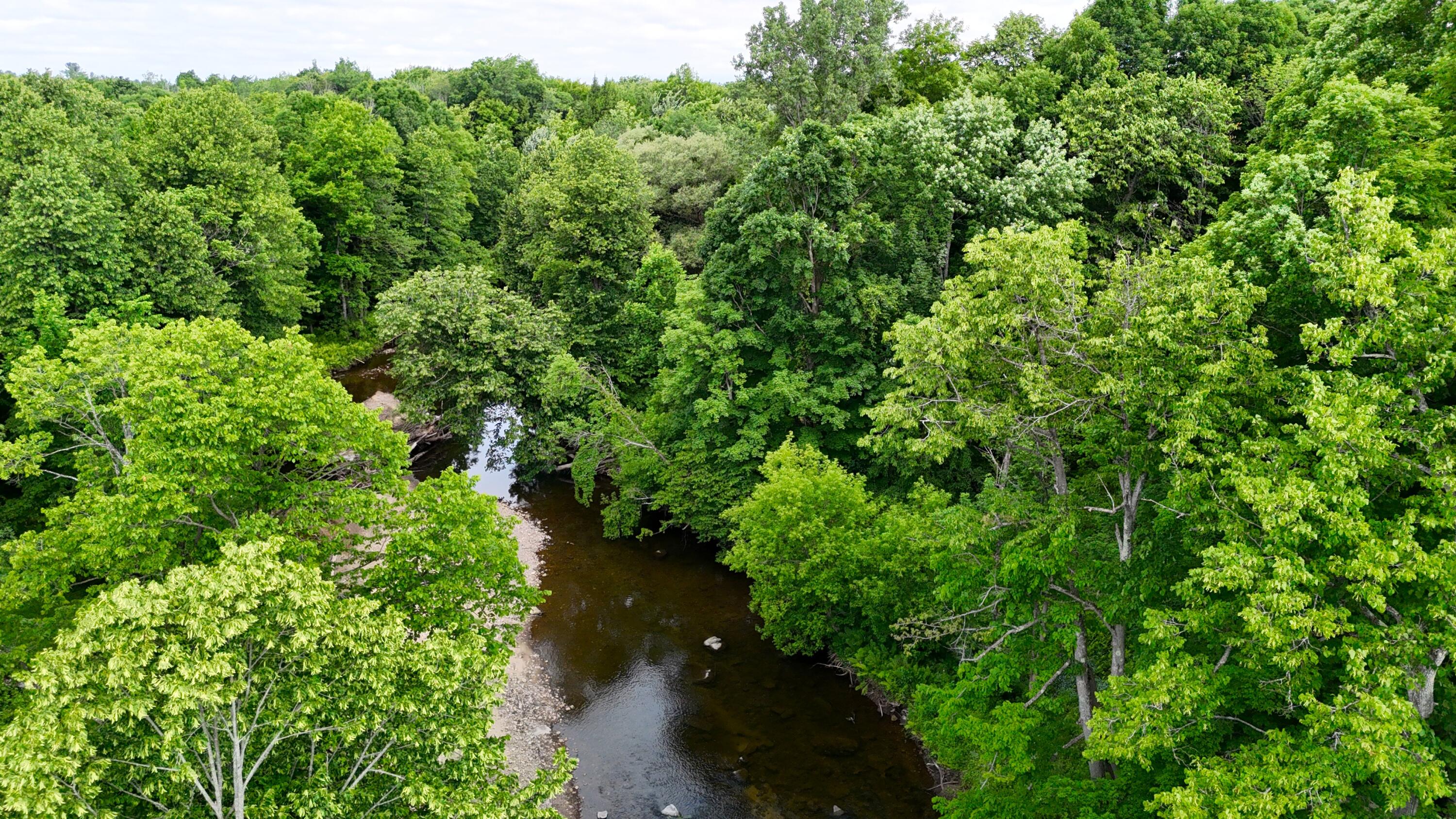 168 Oconnell Road Constable, NY 12926 - Photo 33 of 35 perham air 17
