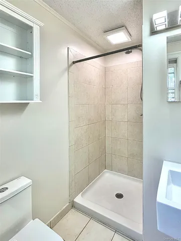 a bathroom with a shower and toilet