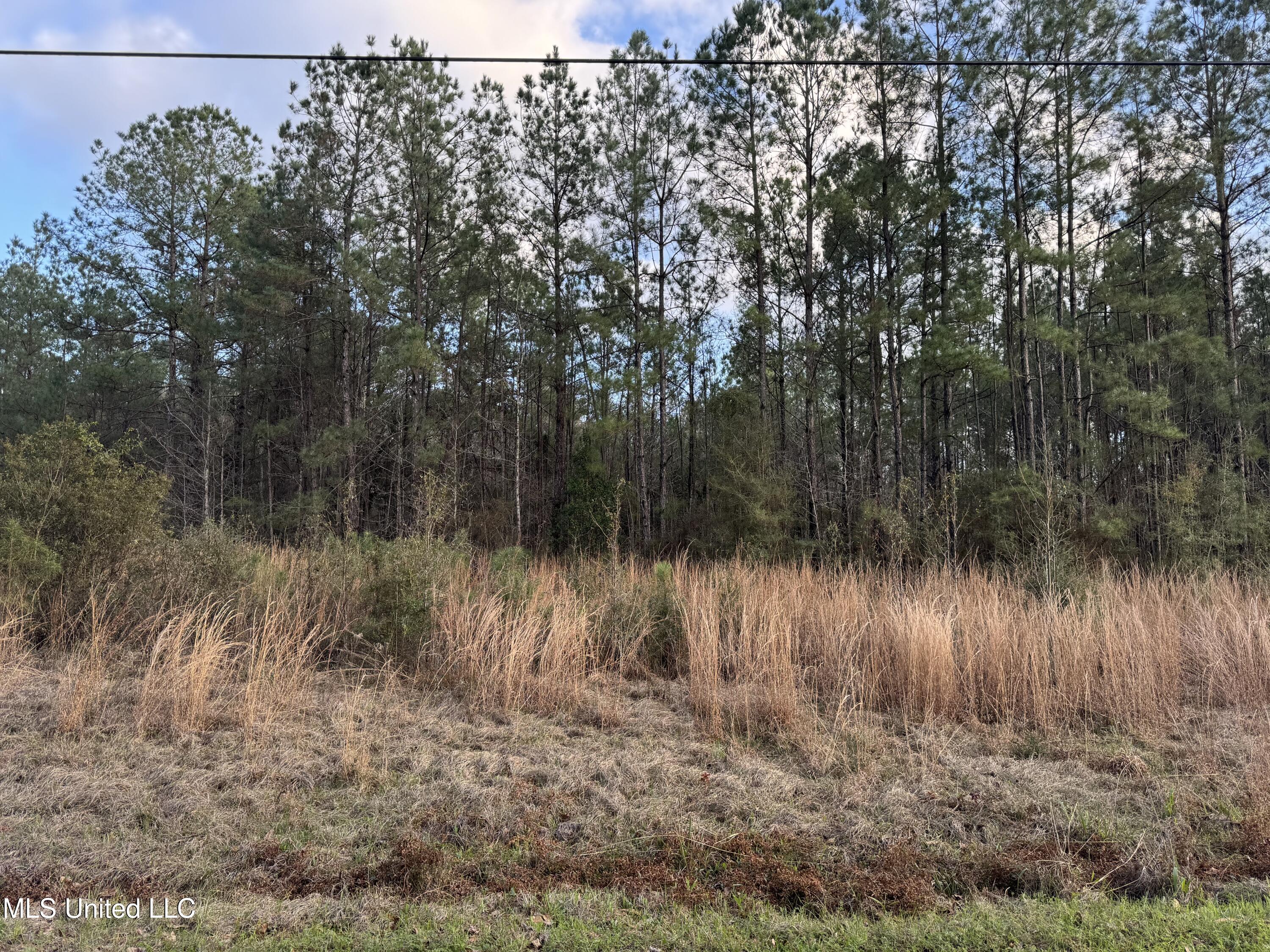 334 Baughman Road Poplarville, MS 39470 - Photo 11 of 19 IMG_1499