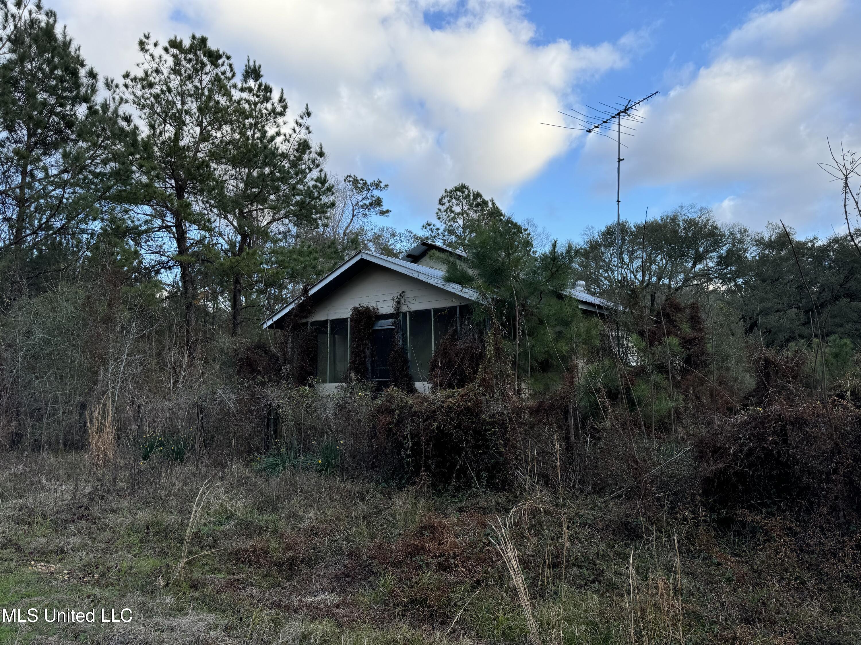 334 Baughman Road Poplarville, MS 39470 - Photo 12 of 19 IMG_1494