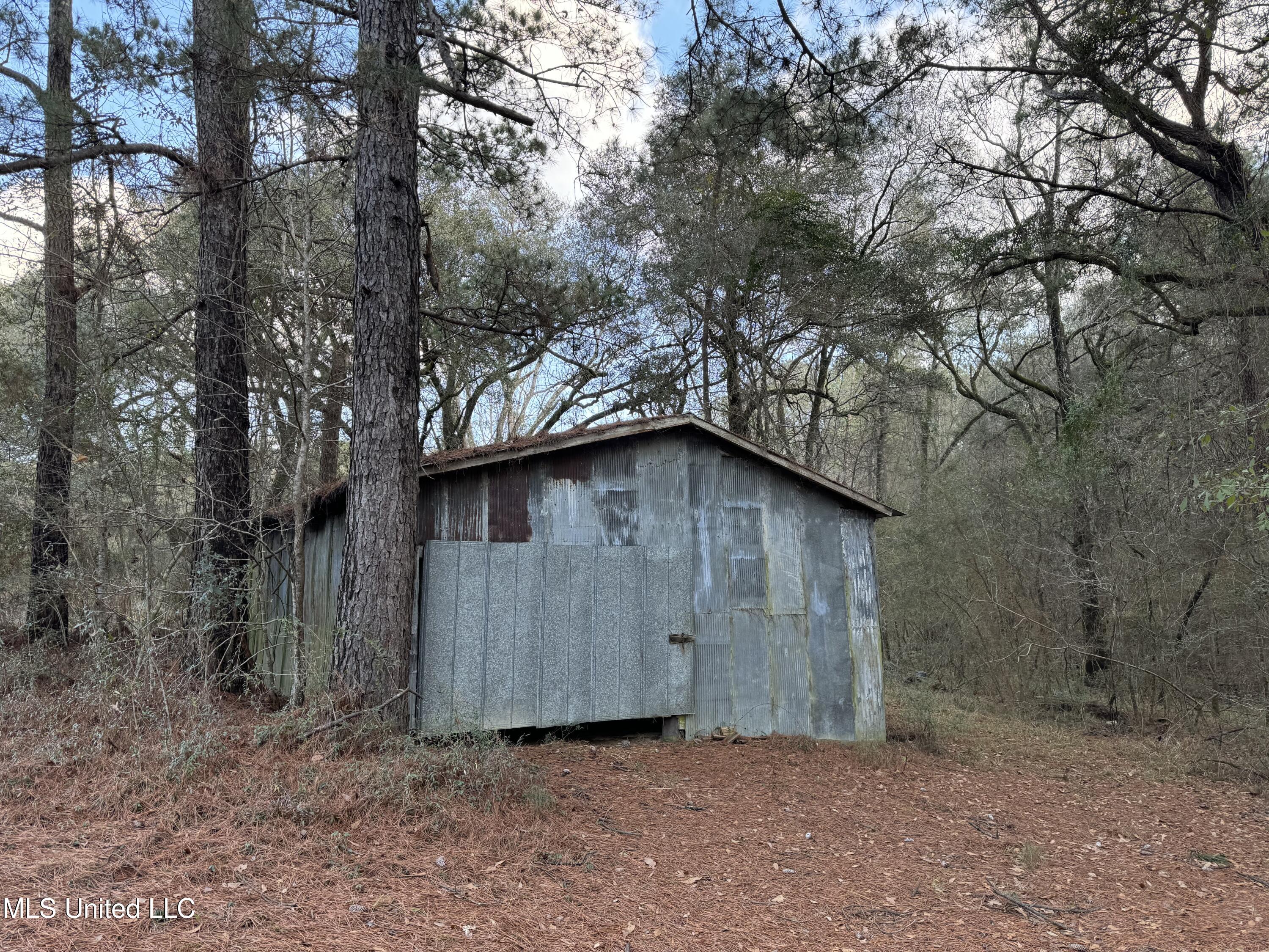 334 Baughman Road Poplarville, MS 39470 - Photo 13 of 19 IMG_1488