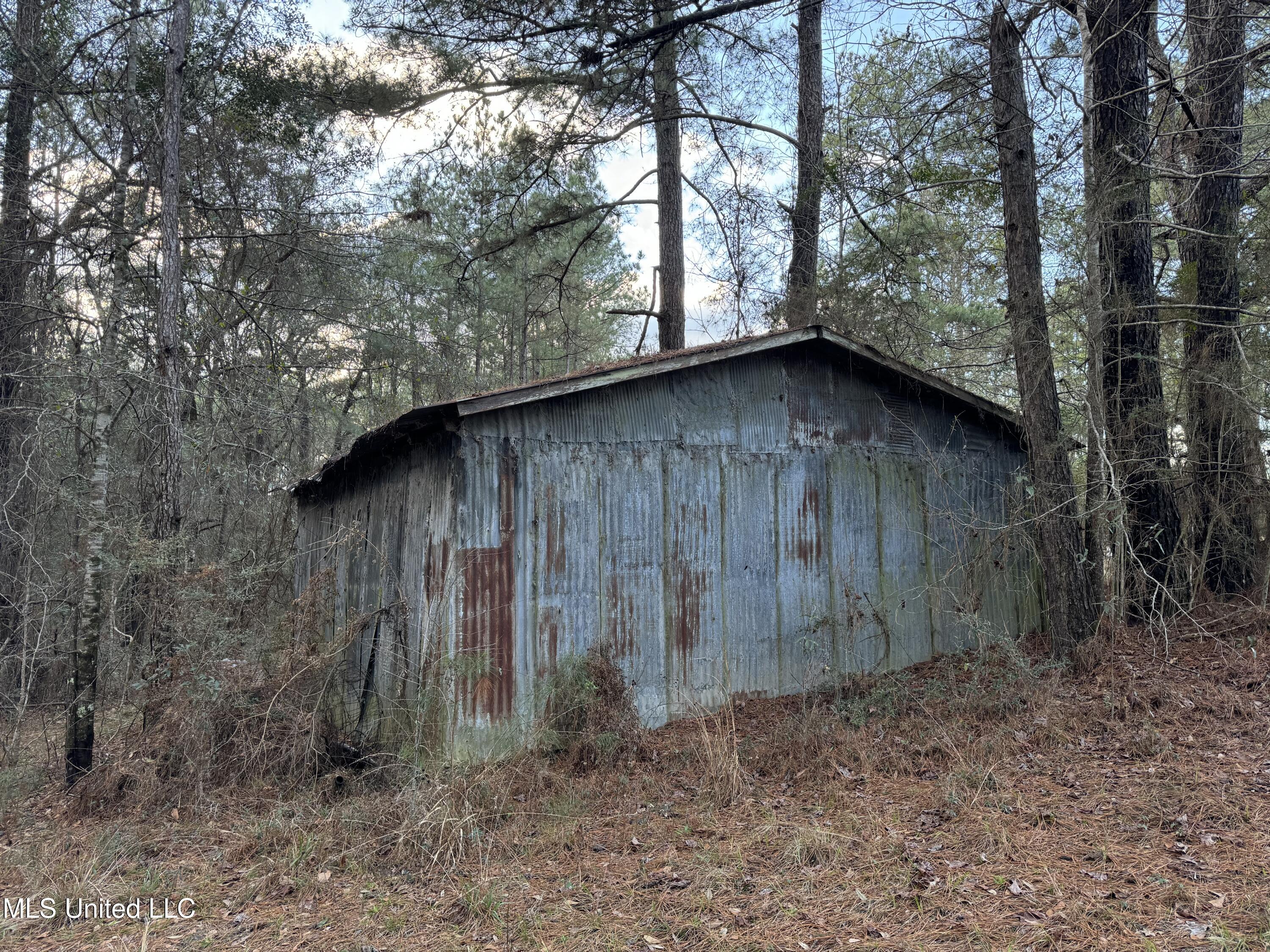 334 Baughman Road Poplarville, MS 39470 - Photo 14 of 19 IMG_1487