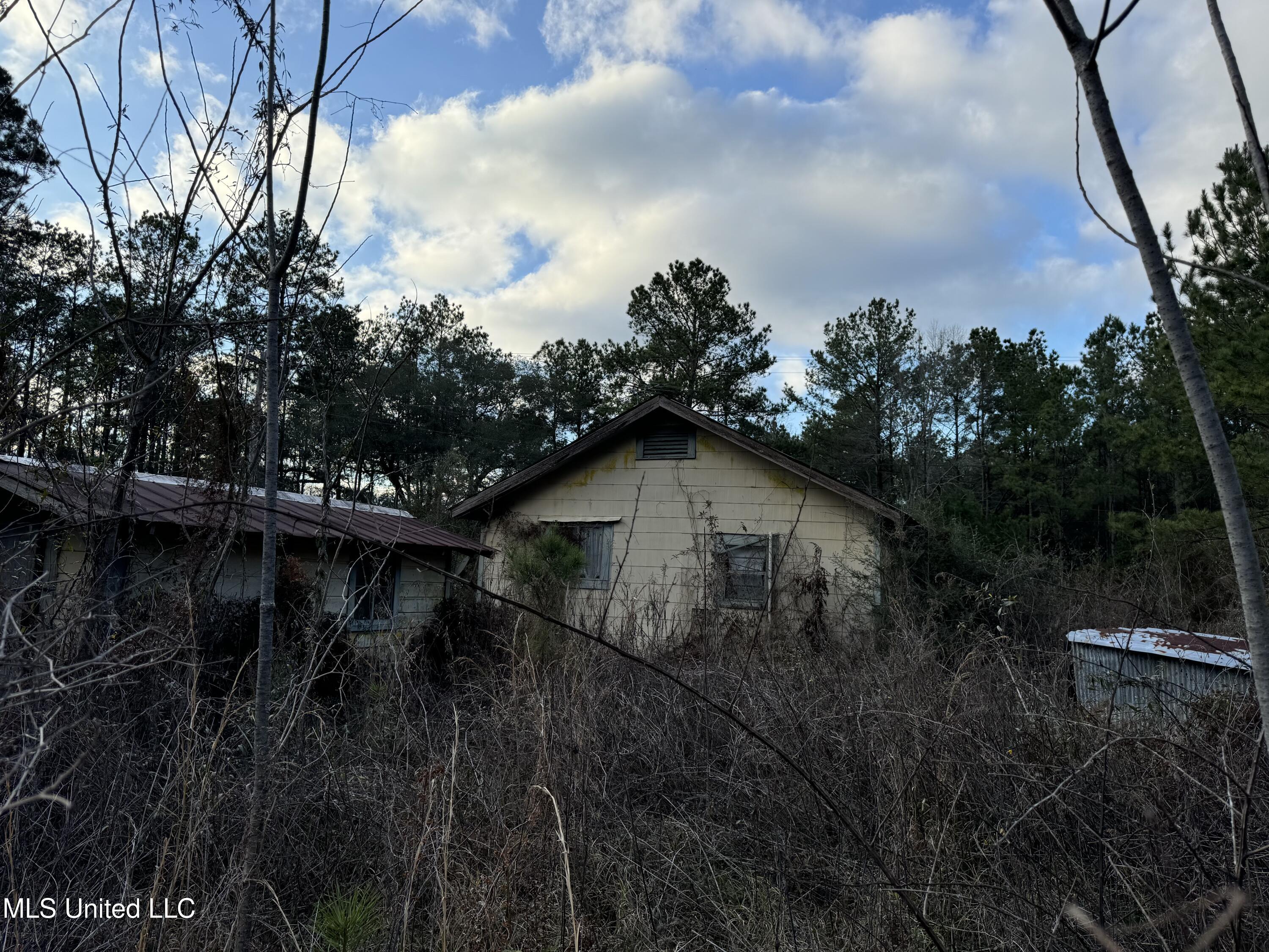 334 Baughman Road Poplarville, MS 39470 - Photo 15 of 19 IMG_1498